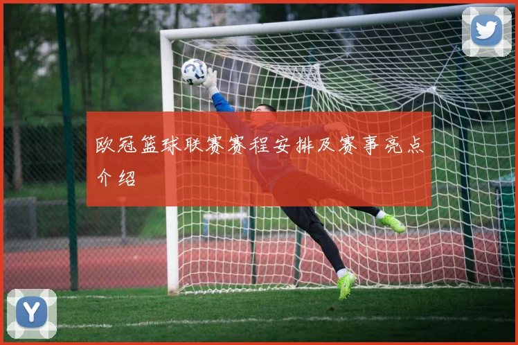 欧冠篮球联赛赛程安排及赛事亮点介绍