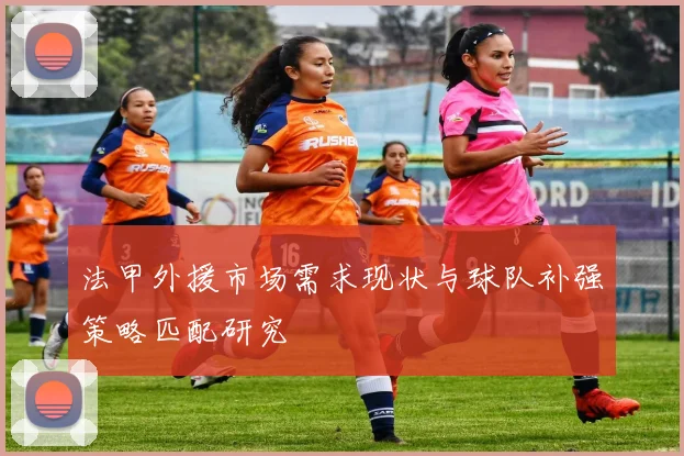 法甲外援市场需求现状与球队补强策略匹配研究