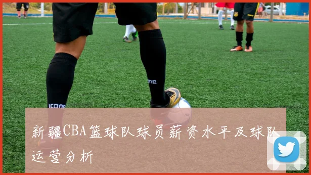 新疆CBA篮球队球员薪资水平及球队运营分析