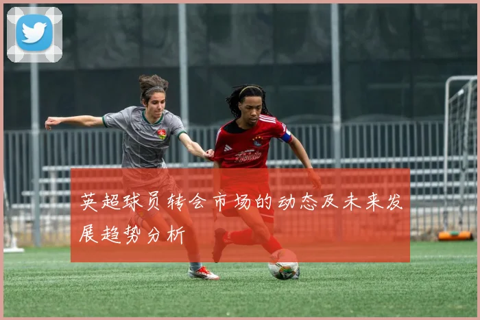 英超球员转会市场的动态及未来发展趋势分析