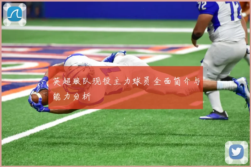 英超狼队现役主力球员全面简介与能力分析